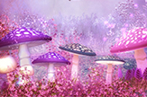 【Lee】蘑菇蘑菇