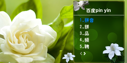 淡淡的青春