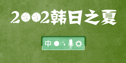 2002年的足球之夏