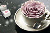 【初久】玫瑰和咖啡