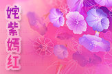 【竹子】姹紫嫣红