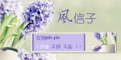 【景诺】风信子