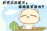 【梦圆】有西瓜的夏天，猫猫最幸福啦！