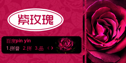 【景诺】紫玫瑰