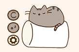 棉花糖猫