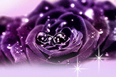 【初久】紫色物语