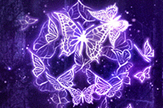 【景诺】紫蝶