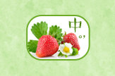 【轻月】新鲜草莓