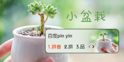 【衣角】小盆栽