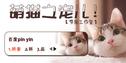 【梦圆工作室】萌猫之宠儿