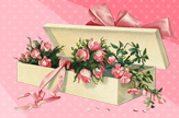 【景诺】爱の粉玫瑰