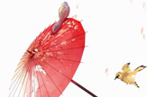 【水儿】古风-油纸伞