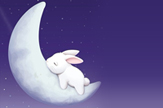 【Lee】晚安兔