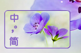 【sunny】紫色诱惑